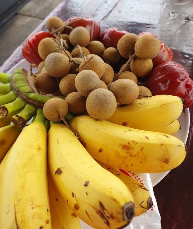Vietnamesische Früchte