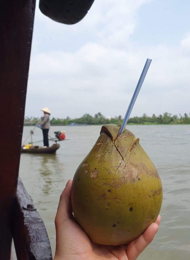 Frische vietnamesische Kokosnuss