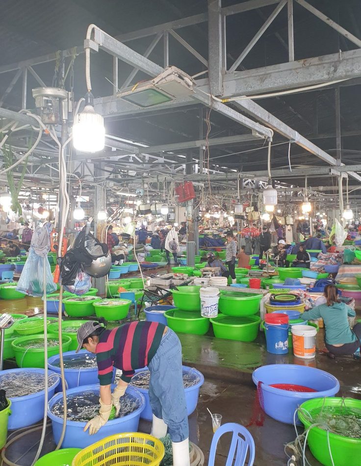 Vietnamesischer Fischmarkt